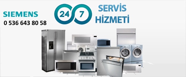denizlisiemensservis