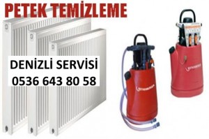 petek_temizleme_denizli_servisi