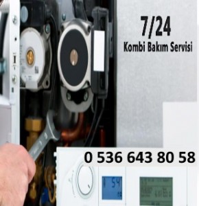 akkonak-denizli-kombi-servisi